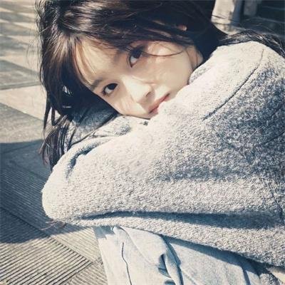 动物园真相第二季